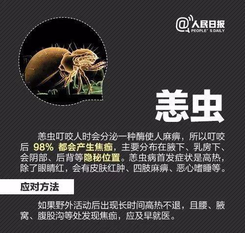 虫咬伤又到高发季,这两种虫可引起高烧,严重可致命