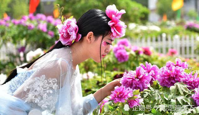 洛阳gdp2021_洛阳牡丹文化节2021(2)