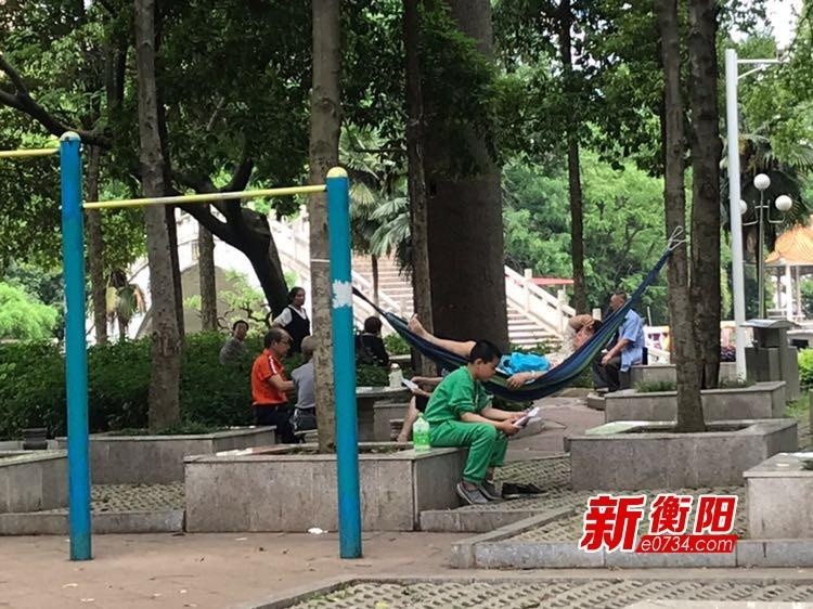 向不文明行为说"不":随手扔垃圾 树上挂吊床 西湖公园