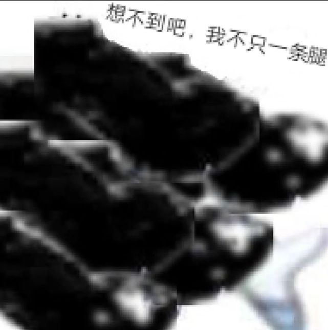 熊猫头小飞机表情包