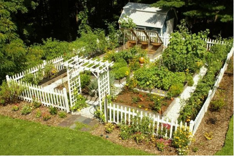 绿色的蔬菜,搭配白色的栅栏和廊道,一股清新之风迎面而来,这样的菜园
