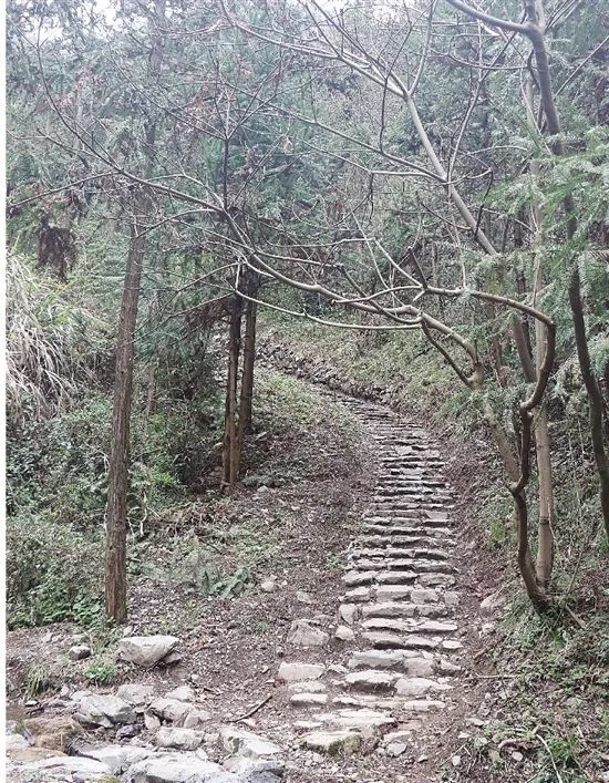 永康这条古道十八弯,一弯一景|徐振廷|义乌市|歇马|古道|永康市