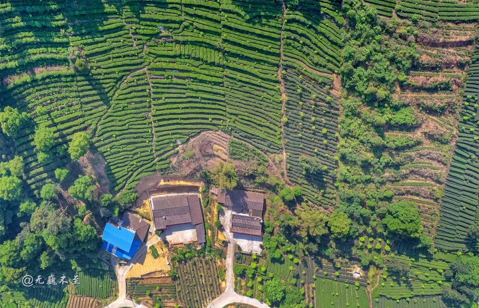 航拍:变身为4a景区的高速服务区,乐山夹江天福茶园
