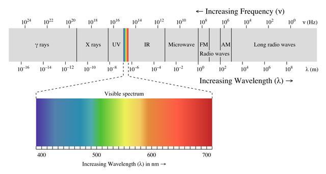 400nm-480nm之间为短波蓝光,可见光波长范围 图源:wikipedia