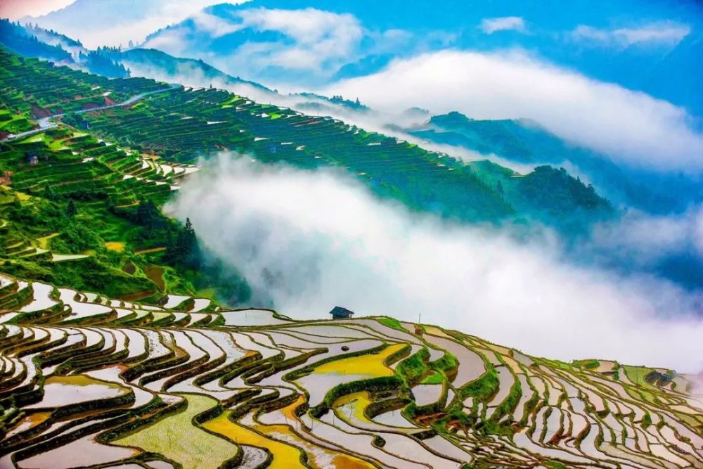 贵州梯田不止是风景