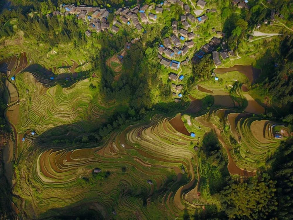 遵义市赤水市宝源梯田 / 曾华清 摄 梯田的魅力,更在于它并非自然