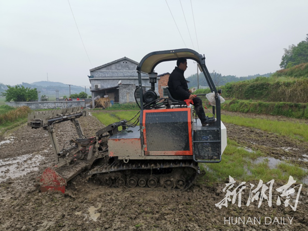 湘乡市农村人口_湘乡市地图