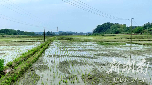 湘乡市农村人口_湘乡市地图