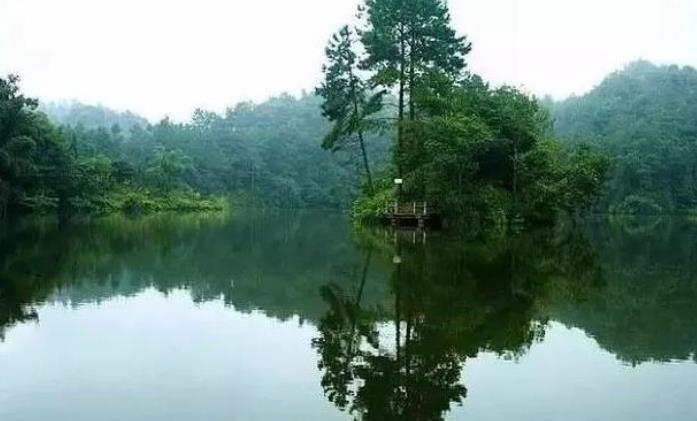 重庆gdp角逐_重庆gdp宣传图