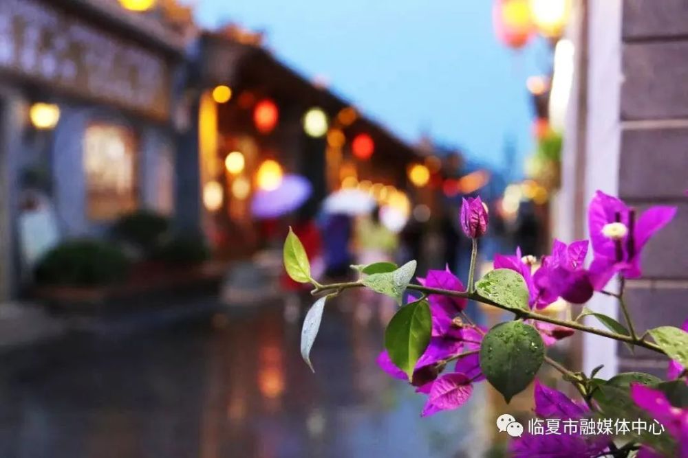 让我们一起在图片中 欣赏雨水洗过的城市之美 寻找平凡生活中简单的