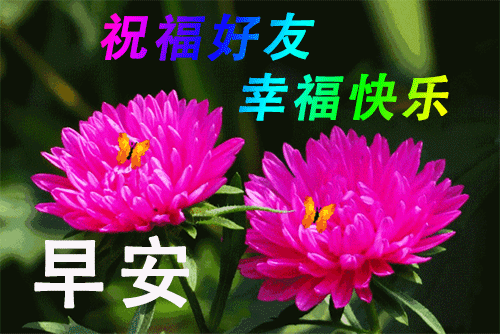 清晨问候大家早上好暖心祝福语短信句子,漂亮的早上好