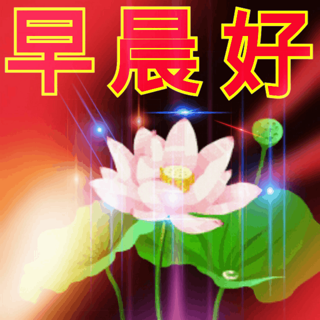秋天十月最美的早上好问候语图片大全早晨好阳光祝福语图片表情合集