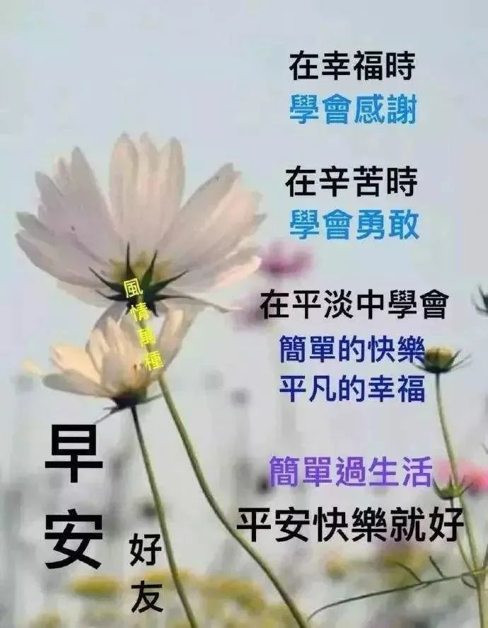 超温馨早安祝福语表情动态图片,早上好唯美动画祝福图片