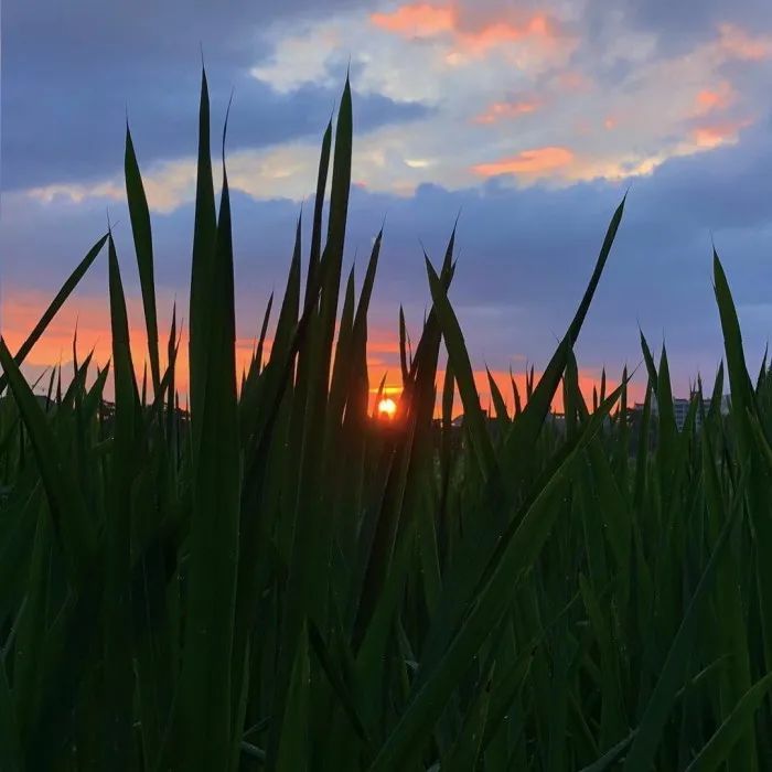 背景图 是来日方长