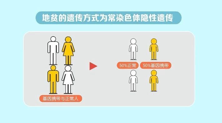 地中海贫血是怎么遗传的?