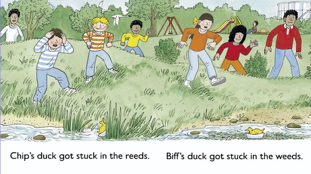 芭迪熊绘本:the duck race