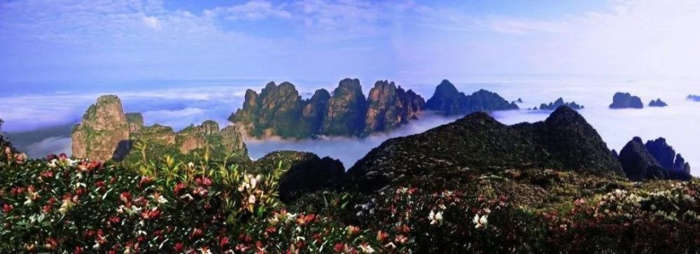 来宾金秀圣堂山变色杜鹃花节一日游