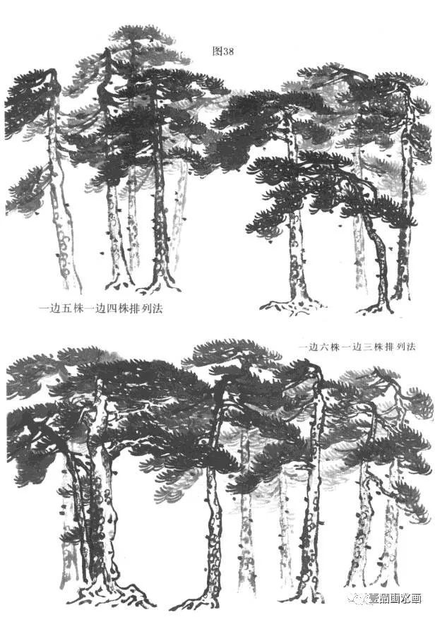 松树画法教程——丛松的画法