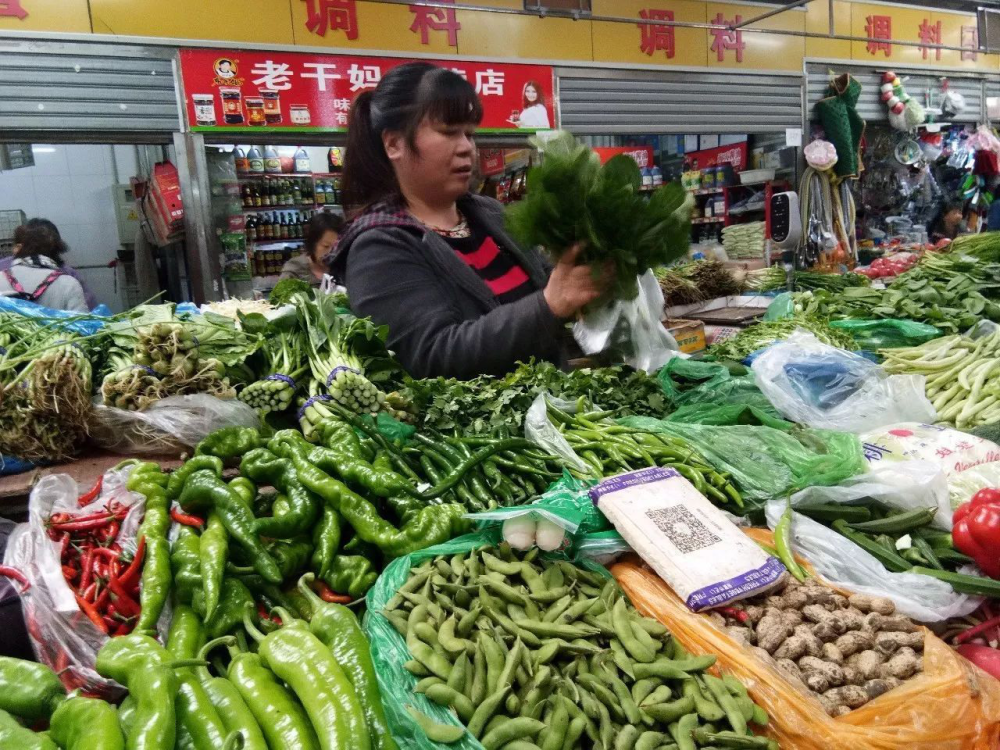 南方人民在北方买菜"遭拒",老板:卖菜多年,没见过这样