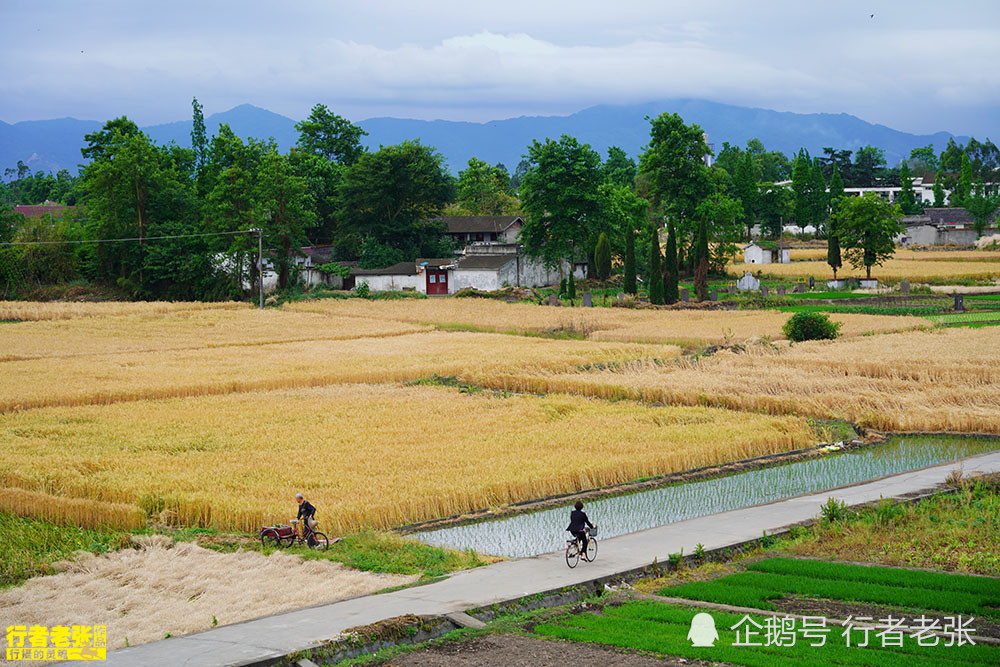 骑行成都平原,这里物产丰饶,风景如画,都江堰的伟大冠