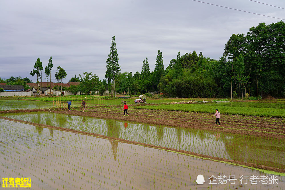 骑行成都平原,这里物产丰饶,风景如画,都江堰的伟大冠