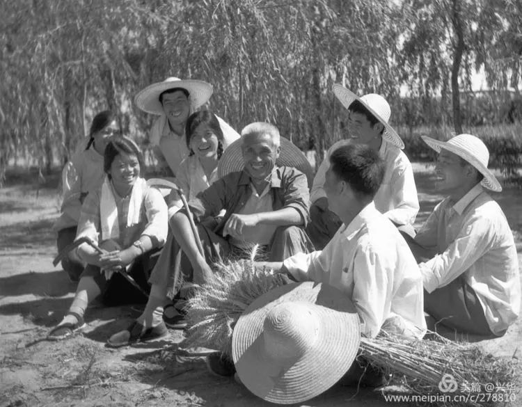 致敬北大荒知青的青春老照片图集