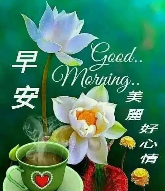 星期五早安快乐祝福语录带字图片 周五早安图片带字带
