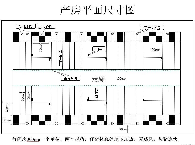 200头能繁母猪养猪场的总体设计规划方案