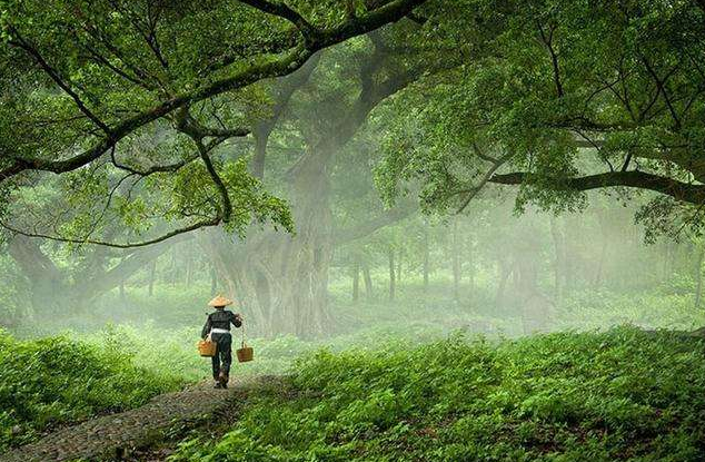 高洪刚 故乡的雨