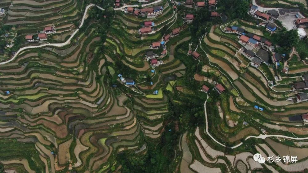 锦屏固本乡八一村:苗寨晨韵美如画处处是风景