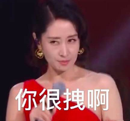 敏涛姐的表情包!天呐!好美!