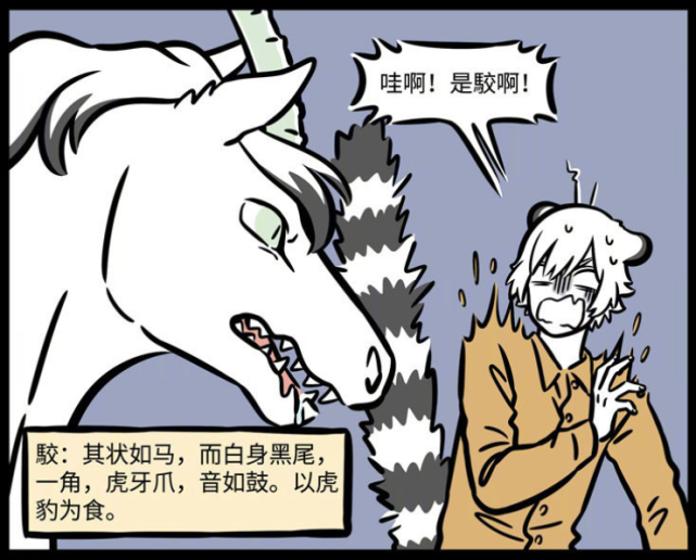 非人哉漫画:白泽吓跑驺虞,却引驳入室,神似烈烈,成"爱马仕"新宠