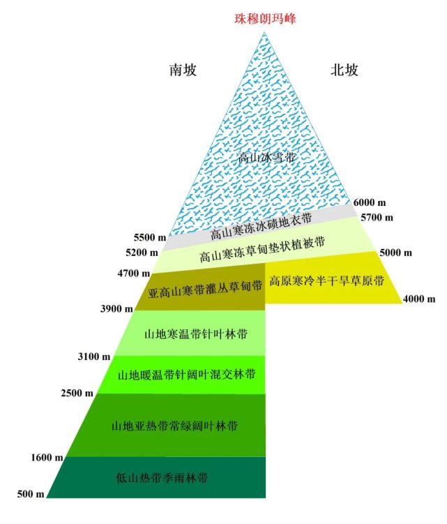 南北坡迥异的自然带|喜马拉雅山脉|高山|北坡|珠峰|南坡