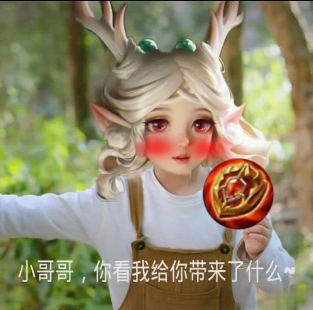 瑶的最全表情包,求野王上分必备