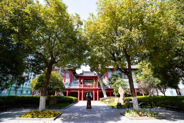 对母校的深情,唯有离开后,才知回味…近期,南京市第十二中学拍摄了