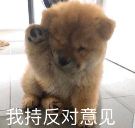 表情包:可爱萌宠表情包