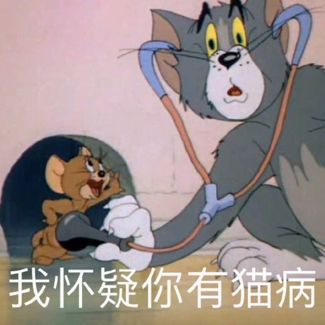 一组沙雕的猫和老鼠表情包已就位速来查收