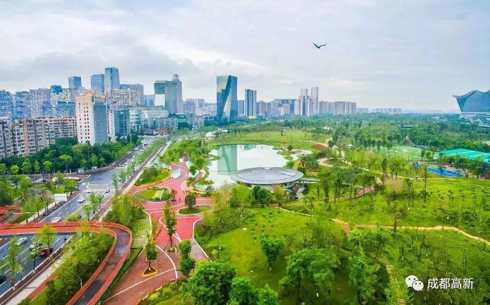 林荫绿道慢跑体系,运动场和儿童游乐区…成都高新区桂溪生态公园