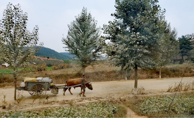 朝鲜图集:镜头下朝鲜农村百姓的生活现状