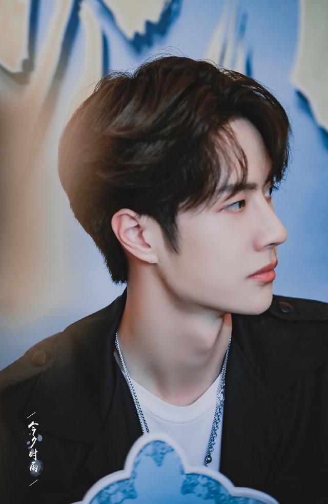 男明星雕塑般侧脸集锦,王一博肖战真的绝了