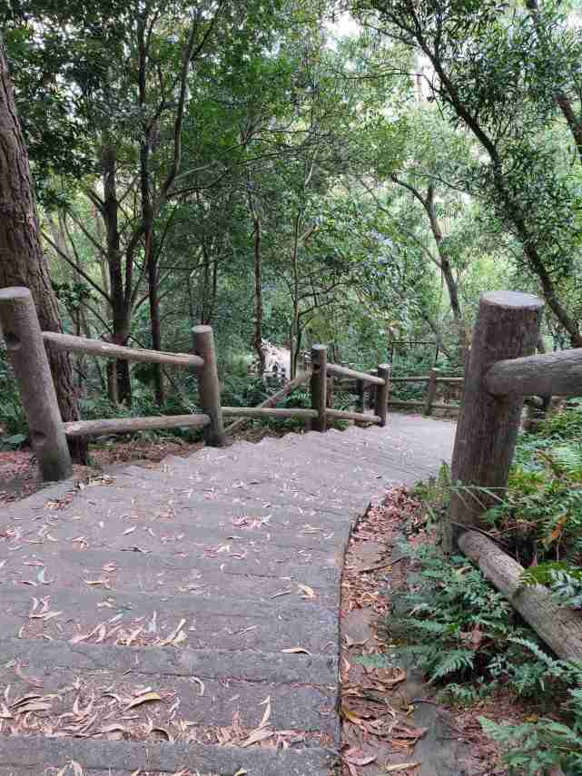 惠州南站边上的亚公顶爬山景观