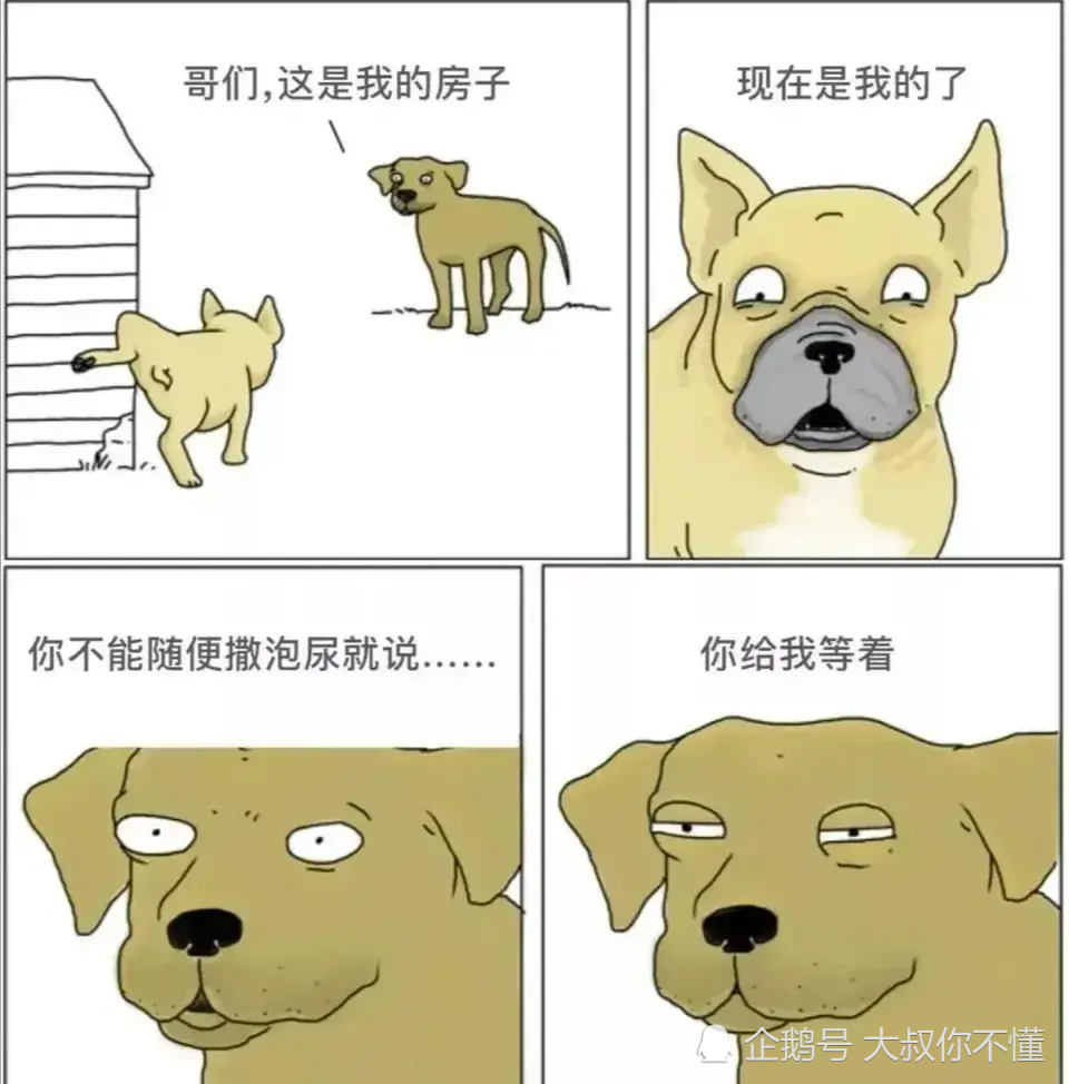 爆笑图片:单身狗强行秀恩爱