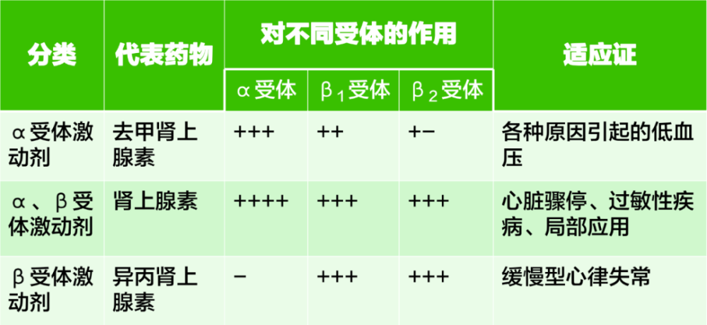 受体,对心肌产生正性肌力,传导,频率作用,相比于肾上腺素,异丙肾作用