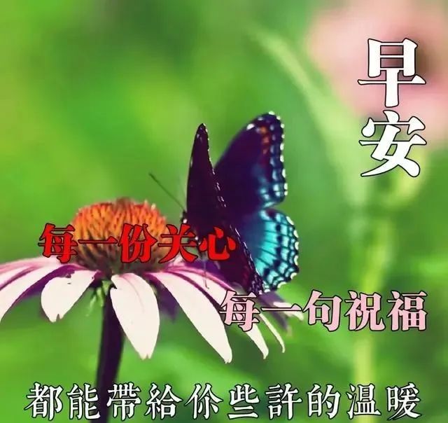 6月22日最漂亮的早上好祝福语图片温馨 清晨群发短语暧心问候动图