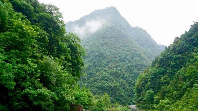 南川区经济总量_南川区图片