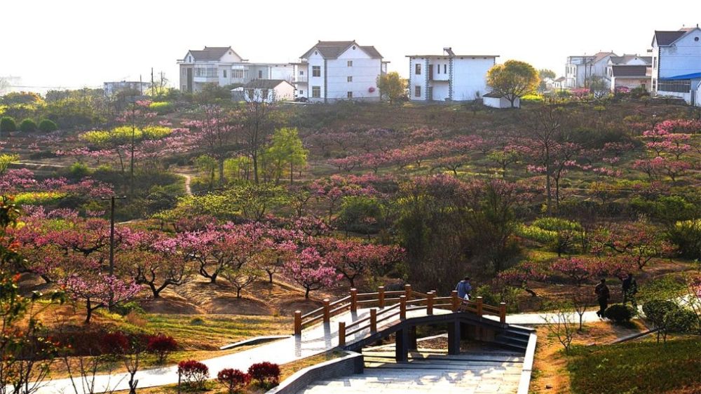 滁州经济总量超芜湖需几年时间_滁州职业技术学院