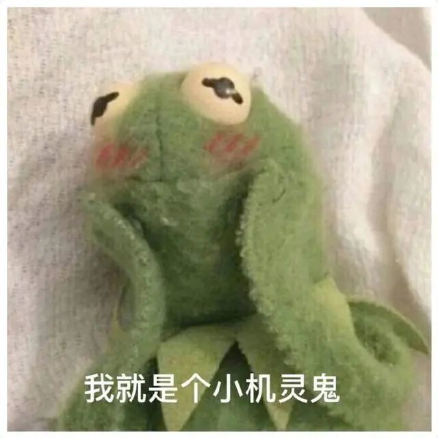 斗图表情包合集 这日子没法过了