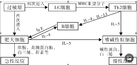 脸上老过敏怎么办,脸上皮肤老过敏是怎么回事