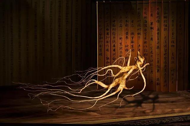 13种超实用的人参治病良方，你平时肯定都用得上
