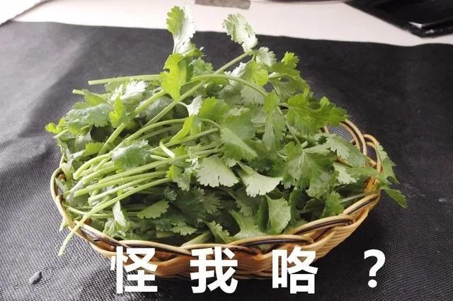 关晓彤同款黑暗料理!生菜卷香菜评测